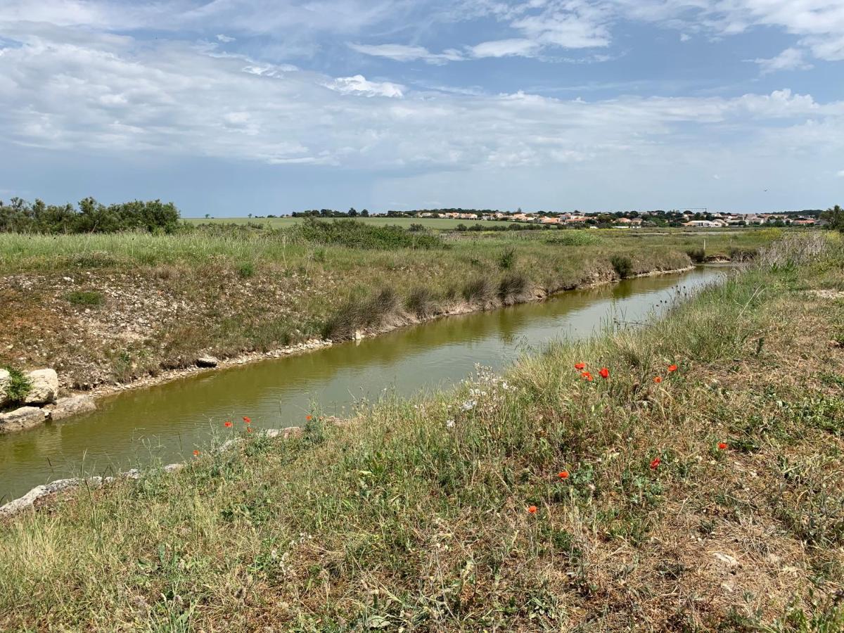 T2 vue sur le parc proche mer et île de ré Le Plomb Extérieur photo